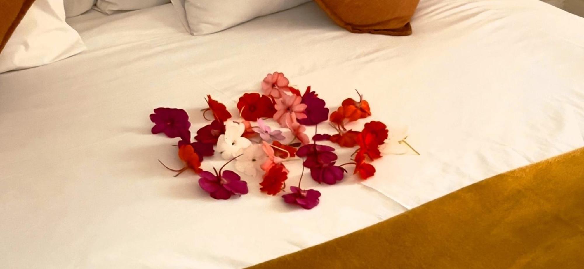 Hotel 27A On Angus Johannesburg Zewnętrze zdjęcie